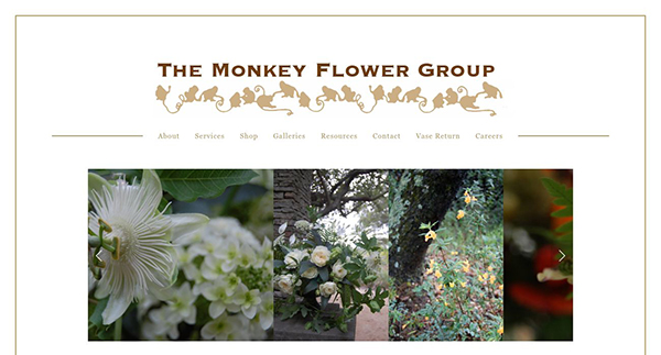 The Monkey Flower Group